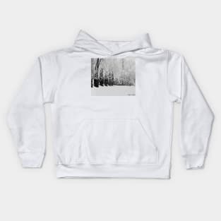 Snow Storm Kids Hoodie